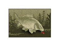 CatchME karpedækken - dørmåtte - kompakt - skridsikker - 60x40 cm