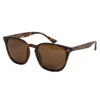 Shoreditch - Mat Skildpaddeskal/ Brune Linser