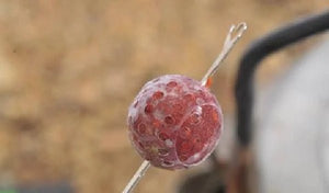 Beskyttelse mod kroge