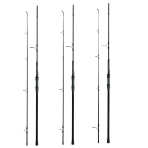 Karpfenruten Angebote