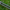 Avid Carp Elevate Spod & Marker - 12FT - KarperCentrale