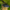 Avid Carp Elevate Spod & Marker - 12FT - KarperCentrale