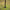 Avid Carp Lok Down Stabiliser - KarperCentrale