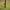 Avid Carp Lok Down Stabiliser - KarperCentrale
