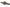 Nash Tackle Scope OPS - Hi Protect - 1 Rod Skin - 9FT - KarperCentrale