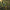 Pole Position Bank Line Clip - KarperCentrale
