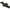 Prologic Avenger - 13ft Multi Sleeve - 3 - Rods - KarperCentrale