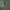 Sonik Sports Hoody Green - KarperCentrale