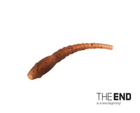 TheEnd Worm Line Aligner - Camouflage G - Round - KarperCentrale