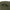 Trakker NXG - Bedchair Bag - Standard - KarperCentrale