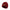 Trakker Plum textured - beanie - KarperCentrale