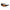 Trakker Wrap Around Sunglasses - Amber - Polaroid - KarperCentrale